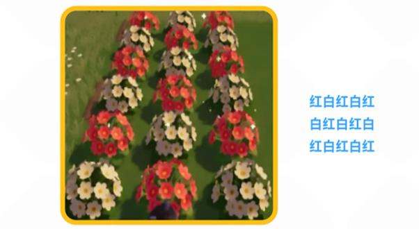 心动小镇花卉如何杂交