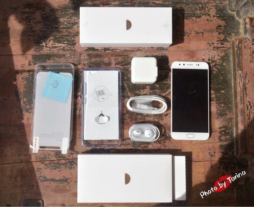 vivo X200拍照效果如何-vivo X200手机拍照性能评测解析