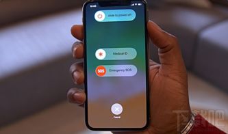 iPhone-如何快速重启你的iPhone设备-重启iPhone的步骤和原因