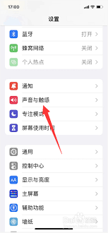 如何关闭苹果手机的电话按键音