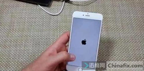 购买翻新iPhone是否划算