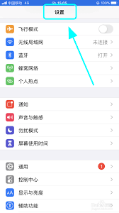 苹果手机设置如何加粗字体-调整iPhone字体让文字更清晰可见