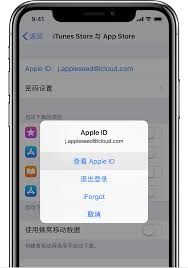 Apple ID如何查看位置-在哪里可以找到Apple ID信息