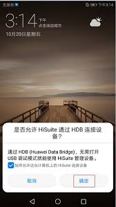 华为P20更新版本的操作方法-如何在华为P20上升级系统版本操作指南