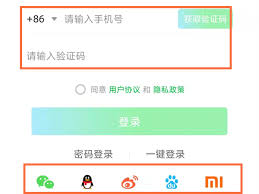 爱奇艺怎么登录别人账号-如何授权他人使用你的爱奇艺账户？