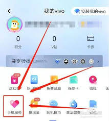vivo爱奇艺自动续费会员怎么取消?-如何在vivo设备上关闭爱奇艺自动续费会员设置