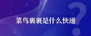 菜鸟裹裹怎么无法使用到付功能-如何解决菜鸟裹裹无法选择到付寄送问题
