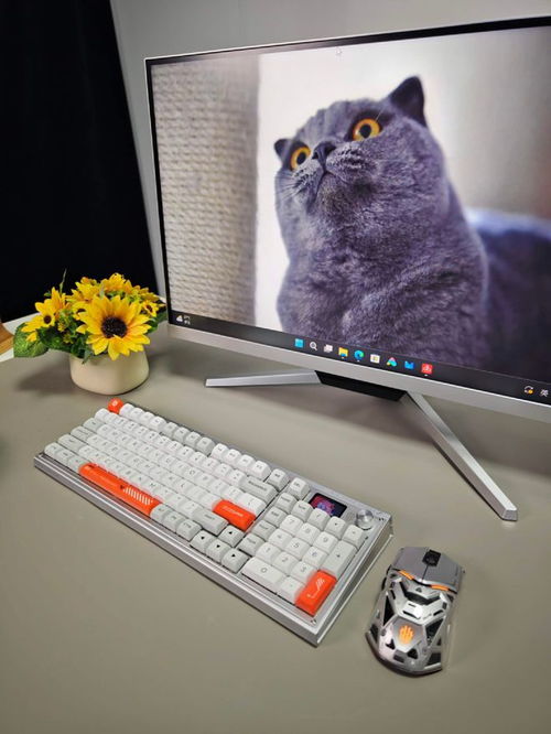 显示器不显示喇叭怎么办-解决显示器无法显示音频设备的步骤及方法