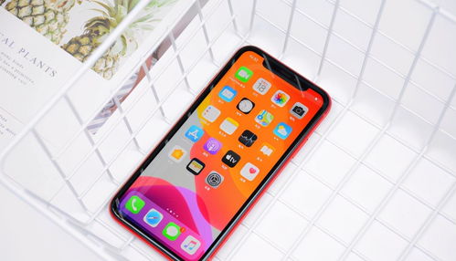 苹果手机5G开关如何开启-苹果手机怎样打开5G网络设置