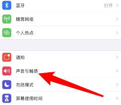 苹果12如何开启打字声音-教你轻松设置苹果12打字按键声方法
