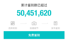 得物毒如何进行有效投诉