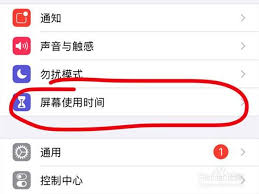 iOS如何使用访问限制详细教程