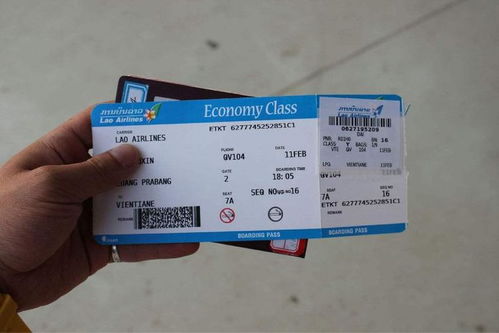 马蜂窝怎么预订机票-掌握订机票操作方法攻略