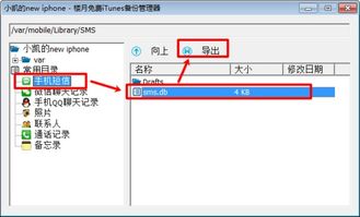 苹果12如何查看步数