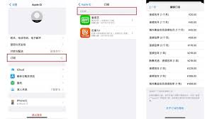 苹果手机如何停止自动扣费