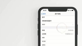 苹果12如何激活高清语音通话