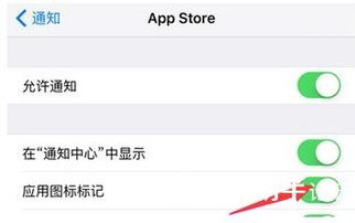 苹果12如何关闭更新提醒