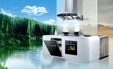 未来十年油烟机清洗的性变化