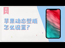 苹果xr手机如何设置动态壁纸声音