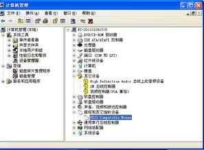 beta版过期如何重新下载