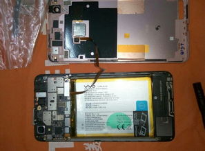 vivo手机进水应急处理