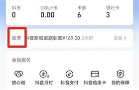 抖音月付如何申请退款