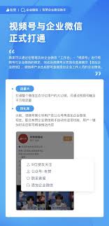 个人微信绑定企业视频号安全问题探讨