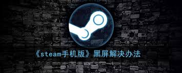 手机版Steam打不开黑屏怎么办