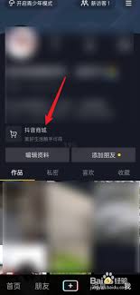 抖音月付购物退款去向