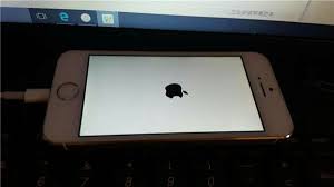 白苹果现象解释-白苹果故障含义详解