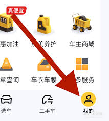 懂车帝如何获取车主标志