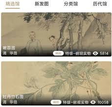 中华珍宝馆如何制作白描图-掌握白描图操作技巧与步骤详解