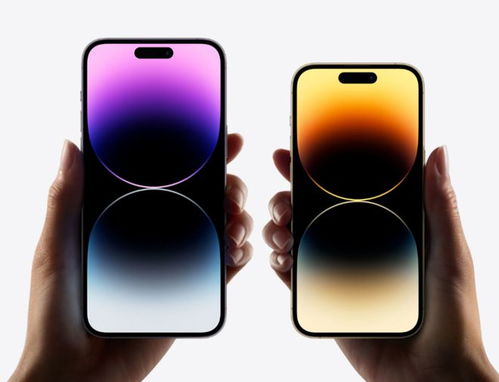 苹果14如何找到App与数据位置介绍-苹果14 App与数据存储位置详解