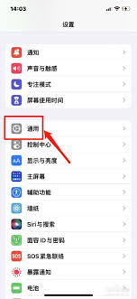 苹果手机屏幕失灵乱跳乱点怎么办-快速修复iPhone触控问题指南