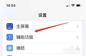 苹果手机字体样式设置指南-如何调整你的iPhone字体大小与样式