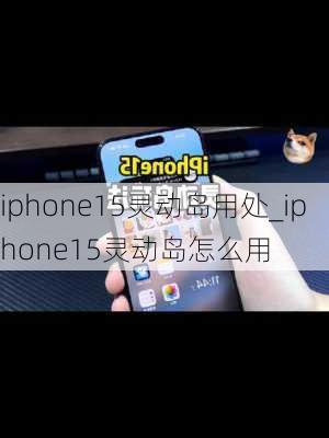 灵动岛功能怎么玩-探索灵动岛的趣味玩法与技巧-如何充分利用灵动岛的功能特性