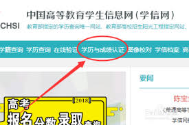 学信网如何查询报告编号信息表-快速找到你的报告编号信息表查询方法