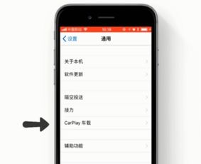 苹果11闪光灯设置教程-iPhone 11如何设置闪光灯功能