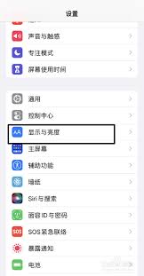 iPhone 11如何调整图标大小的基础步骤-iPhone11更改图标尺寸的基本方法
