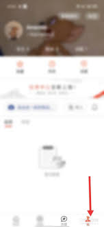 搜狐新闻如何绑定手机号-绑定手机步骤详解