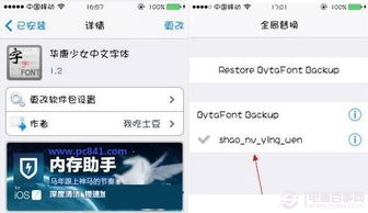 iPhone字体设置教程-如何更改你的iPhone字体样式