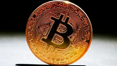 比特币生态项目是什么