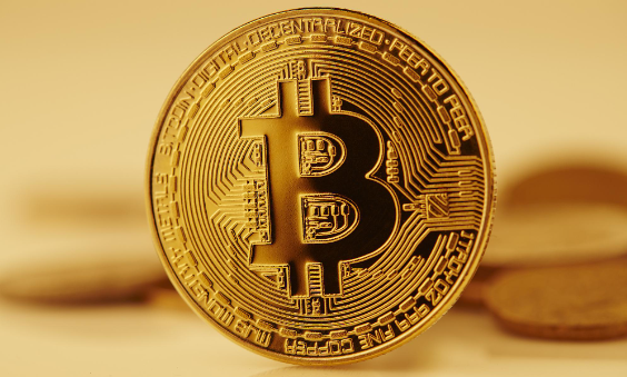 比特币邮票未来发展怎么样