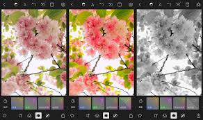 对比度和饱和度的区别是什么