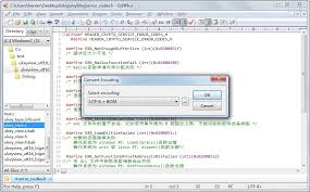 notepad能否用于编程