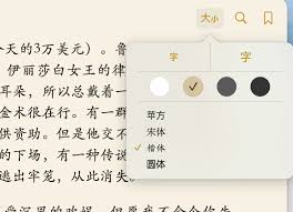 iBooks电子书如何调整字体大小