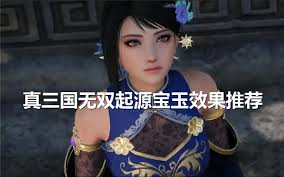真三国无双起源中的宝玉效果全解析