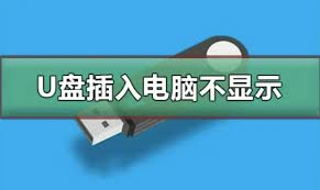 U盘在电脑上不显示怎么办