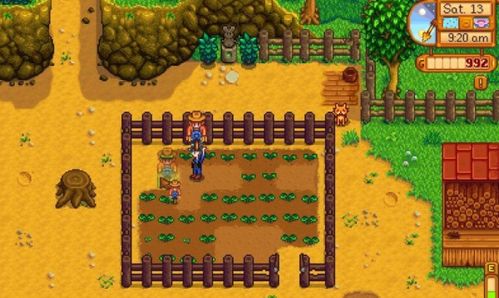 星露谷物语如何解锁社区中心