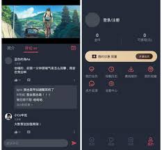 囧次元怎么开会员